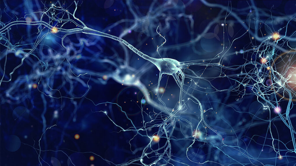 brain cell could shake up neuroscience