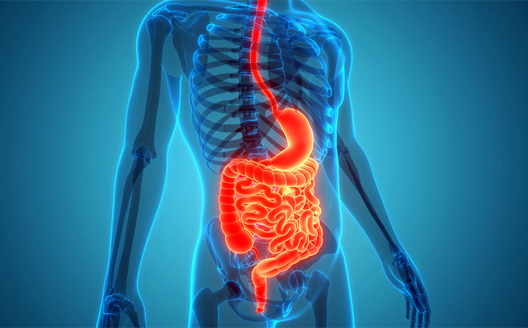 How to Improve and Reset Gut Health