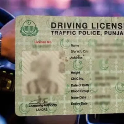 ڈرائیونگ لائسنس
