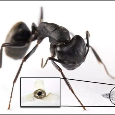 microflyerx